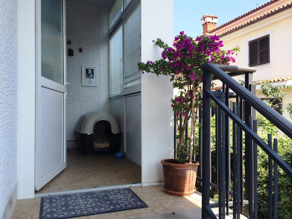 Apartments Kolorcek Izola Zewnętrze zdjęcie